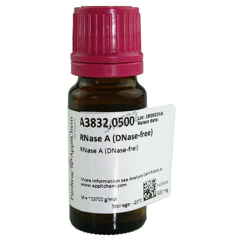 Rnase a (dnase-free) 500 mg