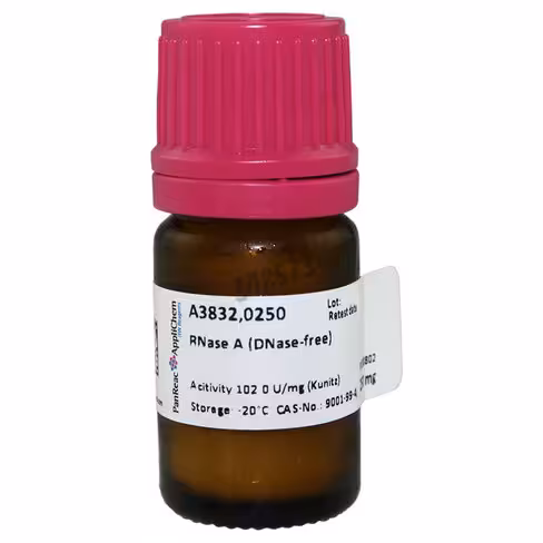Rnase a (dnase-free) 250 mg
