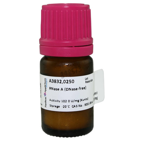 Rnase a (dnase-free) 250 mg