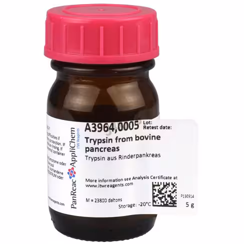 Trypsine de pancréas de bovin 5 g