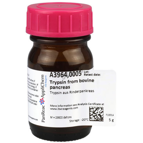 Trypsine de pancréas de bovin 5 g