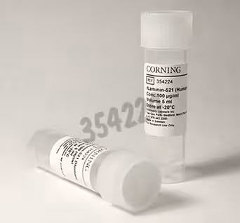 Corning rlaminin-521 (human) 500 µg