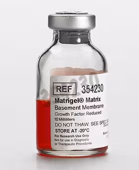 Corning Matrigel Facteur de Croissance Réduit tumeur EHS souris sans LDEV 10 mL