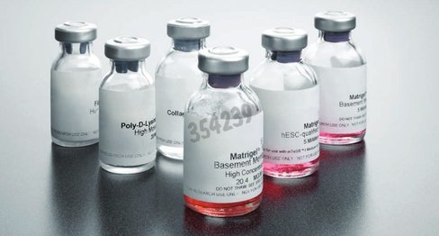 Corning lamininee entactin free souris 1 mg