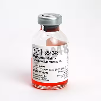 Corning Matrigel Matrix tumeur EHS souris Haute concentration 10 mL