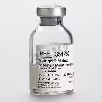 Corning Matrigel Matrix tumeur EHS souris haute concentration sans rouge de phénol 10 mL