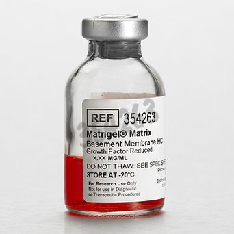 Corning Matrigel Facteur de Croissance Réduit souris haute concentration 10 ml