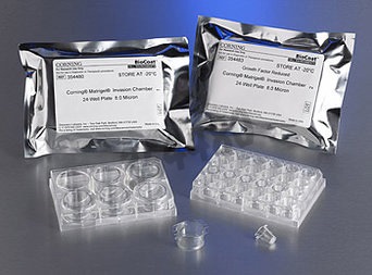 Corning matrigel insert individuel pour plaque 24 24 pcs