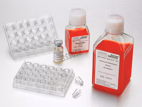 Intestinal Differentiation Media Pack (Basal Medium 500 ml + Entero-STIM Medium 500 ml + Mito+ Serum Extender 1 ml