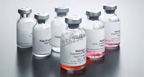 Corning Matrigel Facteur de Croissance réduit tumeur EHS souris sans rouge de phénol 5 mL