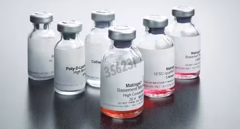 Corning Matrigel Facteur de Croissance réduit tumeur EHS souris sans rouge de phénol 10 mL
