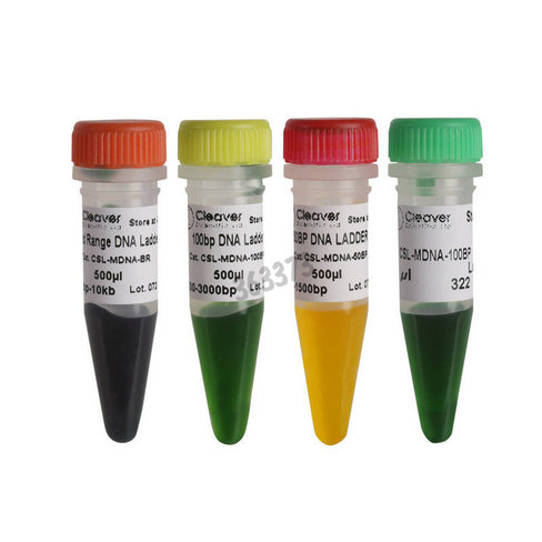 Marqueur adn en tube 500µl 100 pb à 10kpb 19 bandes avec références 500 pb 1,5 et 3 kpb 500 µL