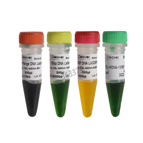 Marqueur adn en tube 500µl 100 à 1500 pb 11 bandes avec références 500 et 1500 pb 500 µL