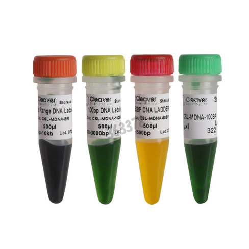 Marqueur adn en tube 500µl 50 à 1500 pb 17 bandes avec références 200 et 500 pb 500 µL