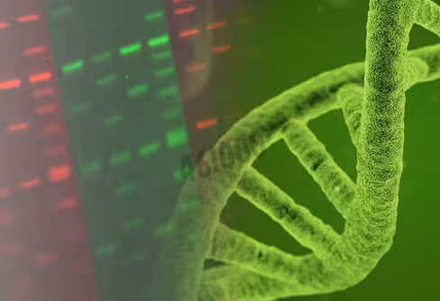 Colorant pour acides nucleiques gelred 10000x dans l eau 0,5 ml