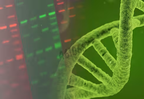 Colorant pour acides nucleiques gelred 3x dans l eau 4 l