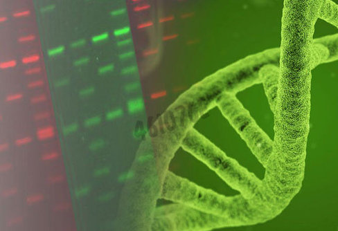 Colorant pour acides nucleiques gelgreen 10000x dans l eau 0.1 ml