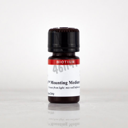 Milieu de montage durcissant everbrite hardset avec dapi 10 ml