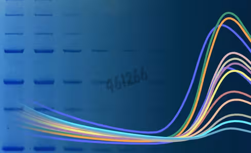 Ponceau s solution 1 l
