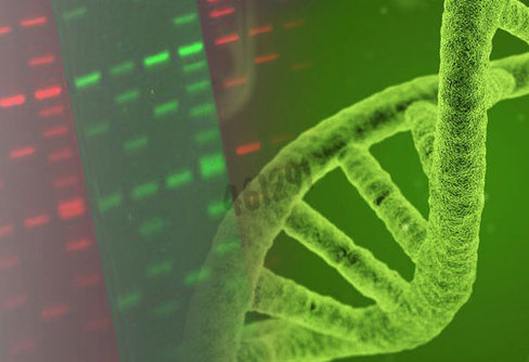 Tampon de charge avec gelred 6x 1 ml