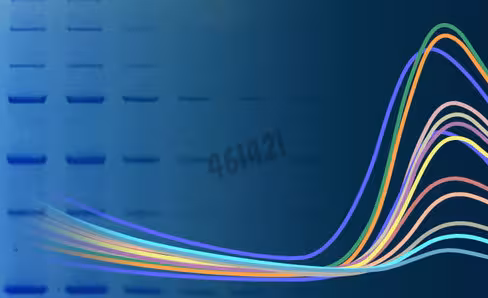 Bcip, toluidine 5 g