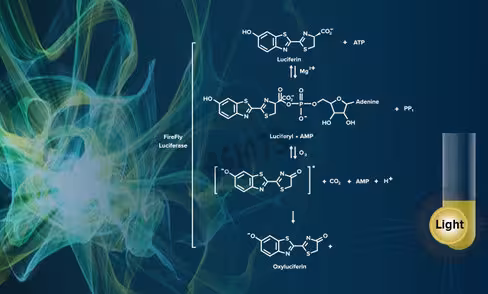 Aquaphile coelenterazine (native), lyophilized solid 50 µg