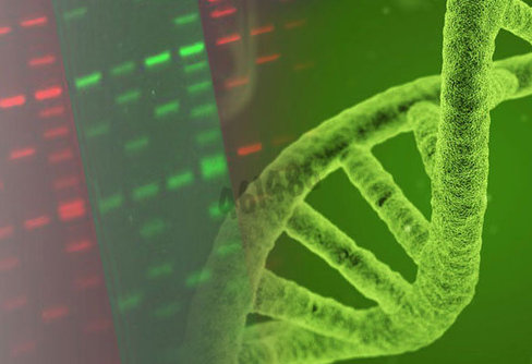 Lumitein protein gel stain 100x 2 ml