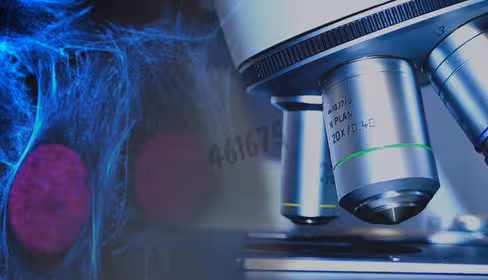 Tyramide amplification kit with hrp goat anti-mouse and cf543 tyramide 1 kit
