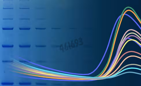 Glomelt thermal shift protein stability kit