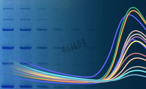 Glomelt thermal shift protein stability kit