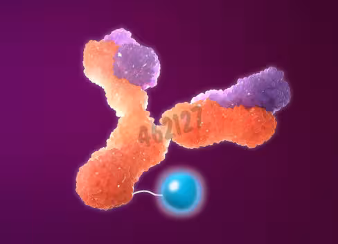 Mix-n-stain hrp antibody labeling kit, 1x(50-100µg) labeling 1 kit