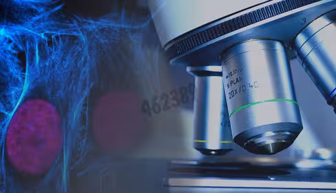 Ready-to-use tyramide amplification buffer, 1x 25 ml