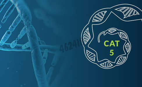 Dna gel extraction 1 kit