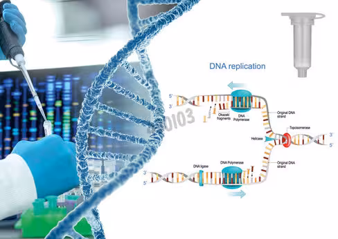 Kit extraction adn génomique (bacteries) biomagpure 48 réactions