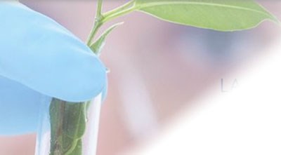 Antimicrobial supplement 50 ml