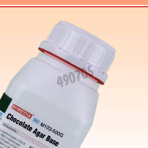 Base agar chocolat 500 g