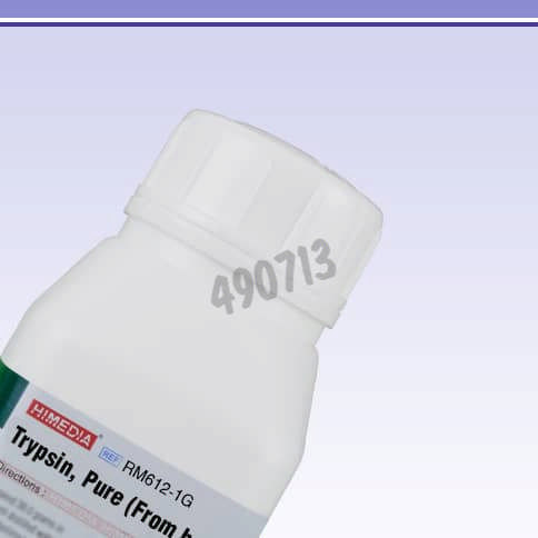 Trypsine pure (pancreas bovin 3) 1 g