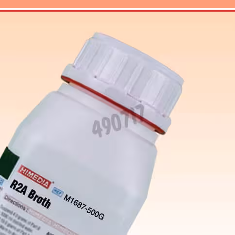 Bouillon r2a 500 g