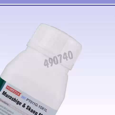 Murashige skoog avec vitamines sucrose et clerigeltm sans cacl2 pour 10x 1 l