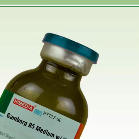 Gamborg b5 milieu avec vitamines sans sucrose et agar poudre pour 5l