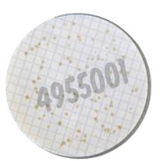 Nutrient pad 50mm bat-nps alicyclobacillus sp. 50 pcs