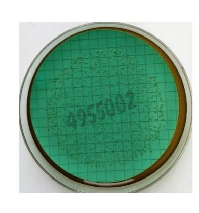 Nutrient pad 50mm beer-nps beer-spoiling microbes 50 pcs