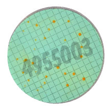 Nutrient pad 50mm brettanomyces-nps brettanomyces 50 pcs
