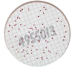 Nutrient pad 50mm enterococci-nps enterococci 50 pcs