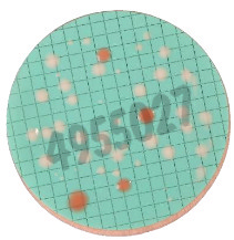 Nutrient pad 50mm sabouraud-nps yeasts and moulds 50 pcs