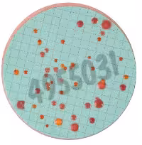 Nutrient pad 50mm standard ttc-nps colony count 50 pcs