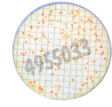 Nutrient pad 50mm tergitol ttc-nps e. coli coliforms 50 pcs