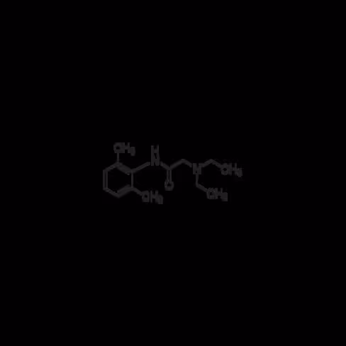 Lidocaine 25 g