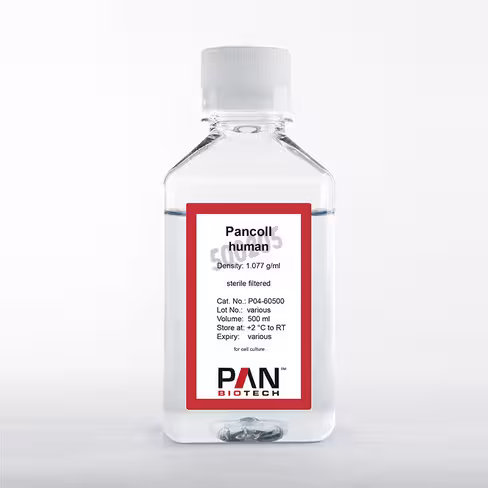 Pan coll humain 1.077g/ml p04-60500 500 ml