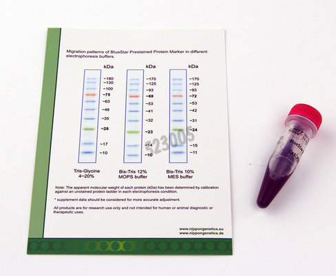 Marqueur pm proteines bluestar bleu-rouge-vert 500 µl